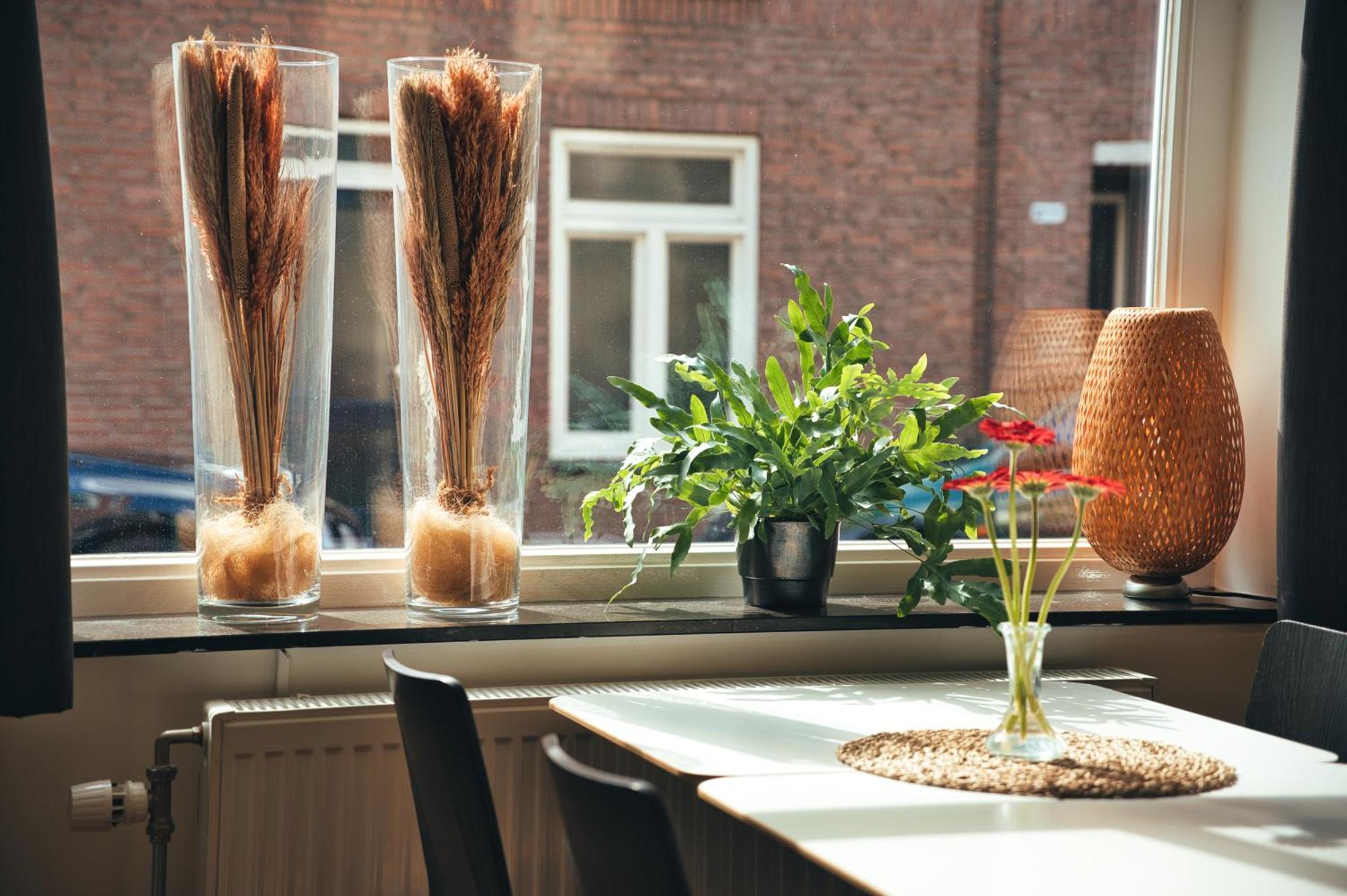 B&B De Hofnar โรมอนด์ ภายนอก รูปภาพ